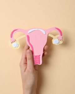 Hand holding a paper cutout of a uterus, symbolizing hormonal changes and perimenopause signs.