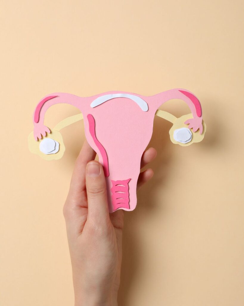 Hand holding a paper cutout of a uterus, symbolizing hormonal changes and perimenopause signs.