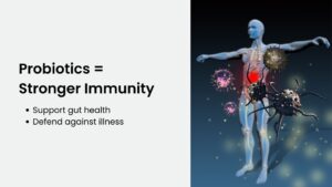 Graphic illustration showing how probiotics improve immune health and gut health.