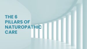 Naturopathic Medicine. A stylized, architectural image featuring six strong pillars, which conceptually represents the robust and guiding principles of THE 6 PILLARS OF NATUROPATHIC CARE. This image is designed to inform prospective patients about the comprehensive and systematic approach taken by practitioners of Naturopathic Medicine.
