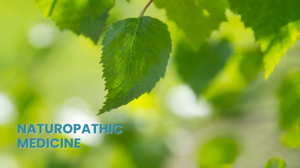 Naturopathic Medicine. A refreshing, nature-focused image of a single green leaf and blurred foliage, visually representing the core philosophy of Naturopathic Medicine. The imagery emphasizes the use of natural substances and the body's innate ability to heal, appealing to those seeking a drug-free, holistic approach to their wellness journey.